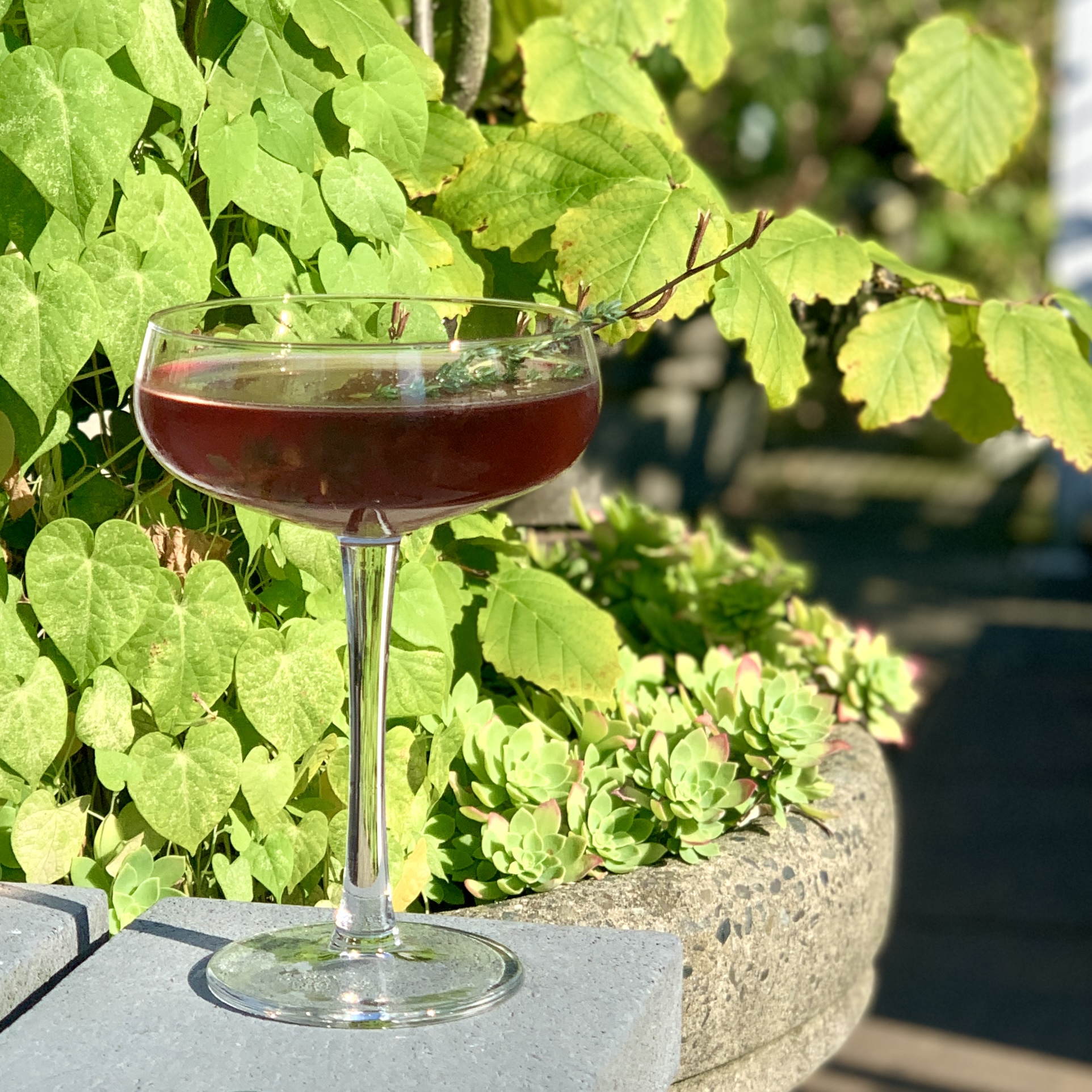 Cocktails with Wolf & Grouse