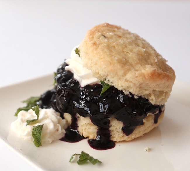 Blueberry Shortcake {Vegan}