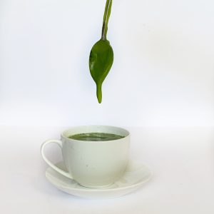 Cloud Matcha Tea